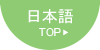 Japanese Top