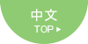 Chinese Top